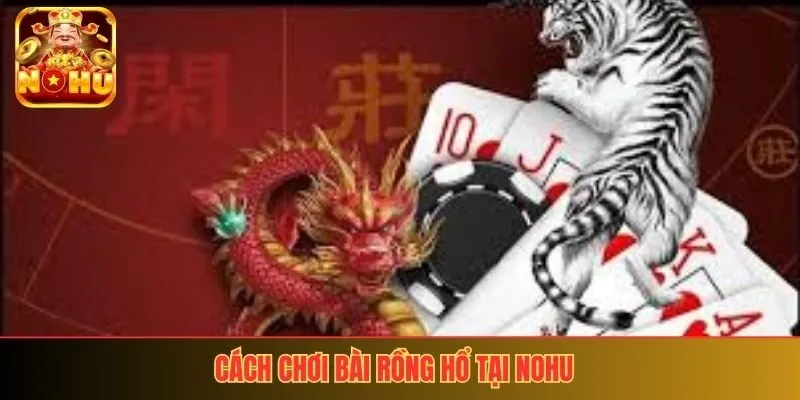 Cách chơi bài rồng hổ dễ hiểu tại nohu